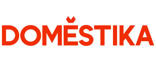 Domestika logo